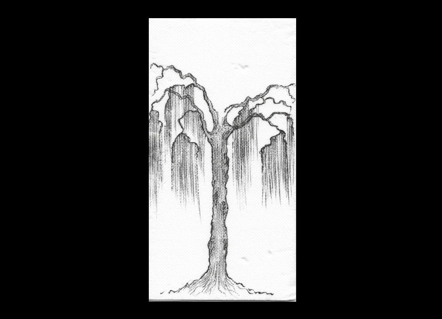 image-alt